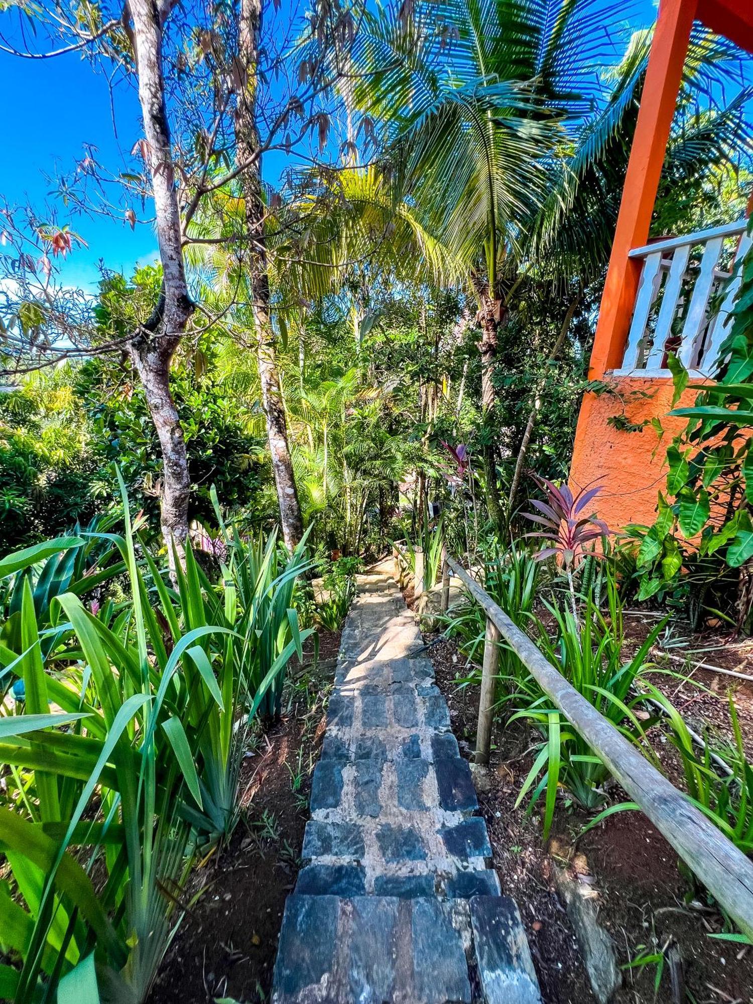 Hostel Zen - Casa Na Floresta 伊塔卡雷 外观 照片