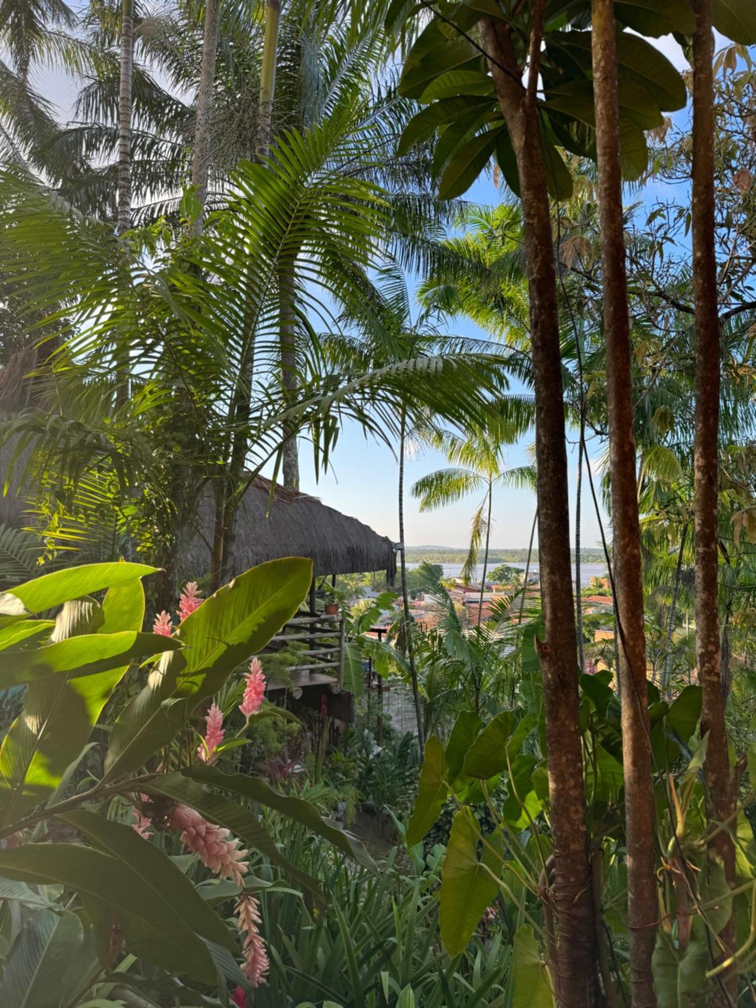 Hostel Zen - Casa Na Floresta 伊塔卡雷 外观 照片
