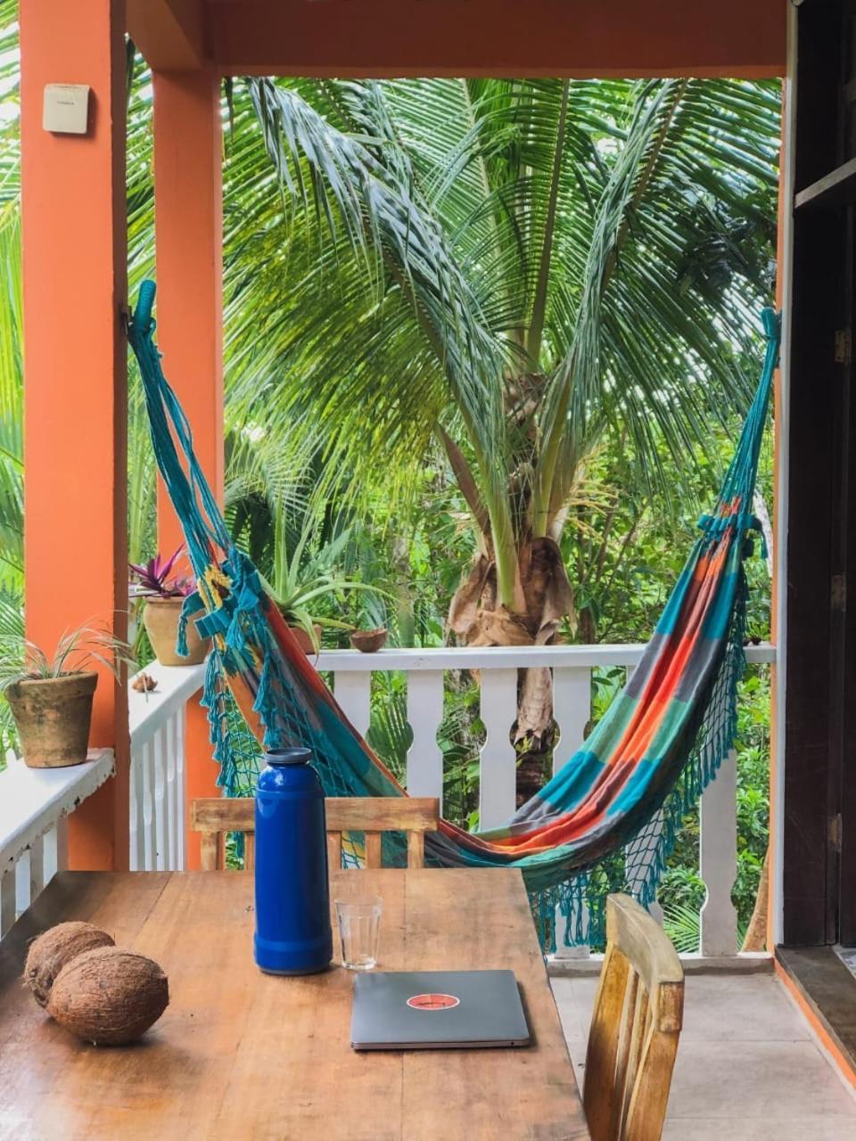 Hostel Zen - Casa Na Floresta 伊塔卡雷 外观 照片